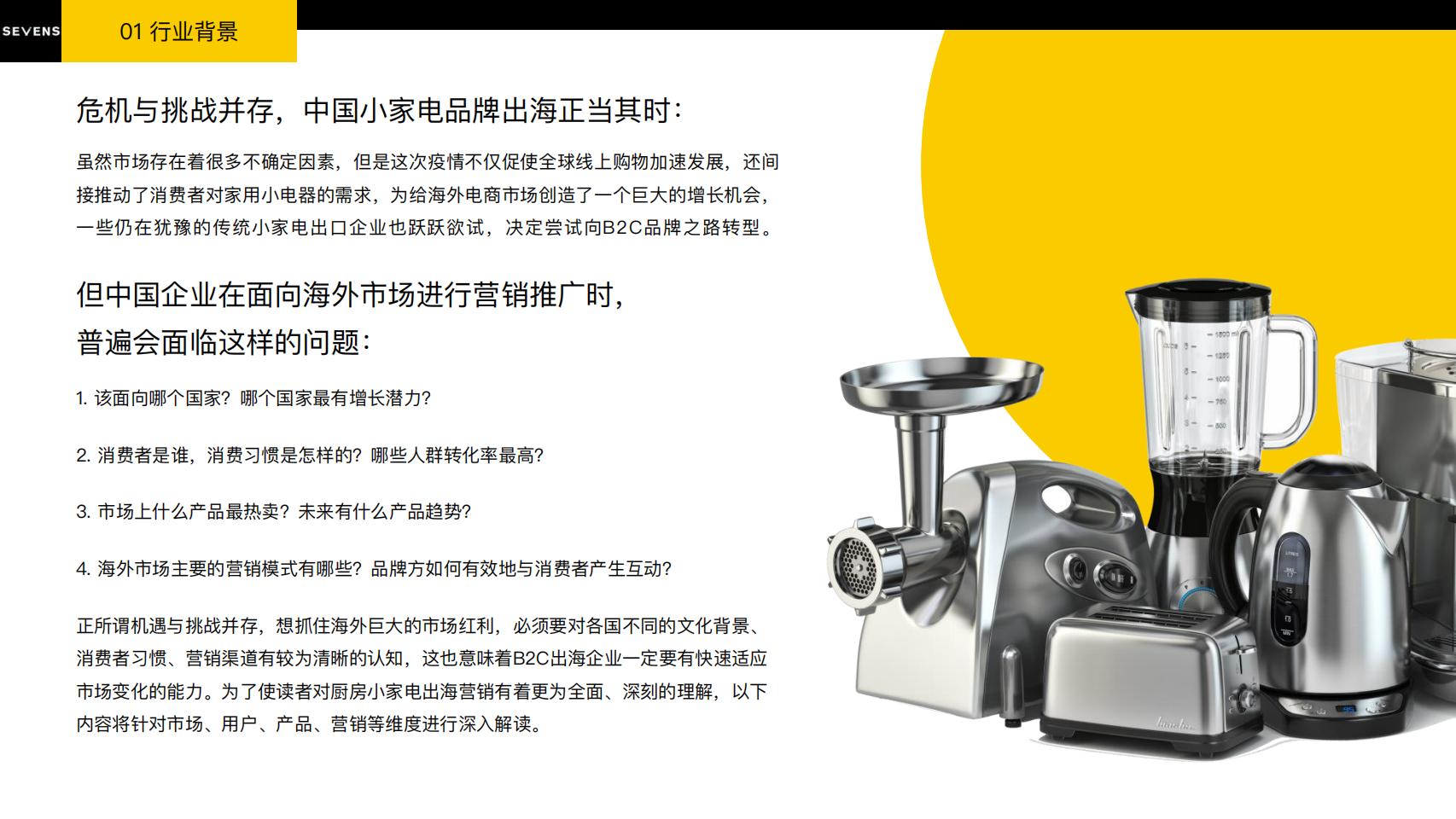 赛文思厨房小家电行业出海营销报告【完整版】_09.jpg